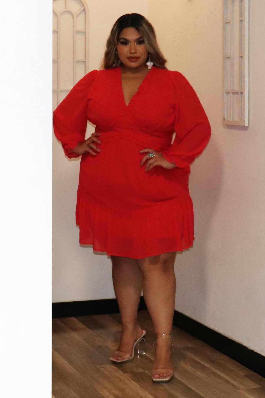 Faviola Long Sleeve Dress Divas Plus