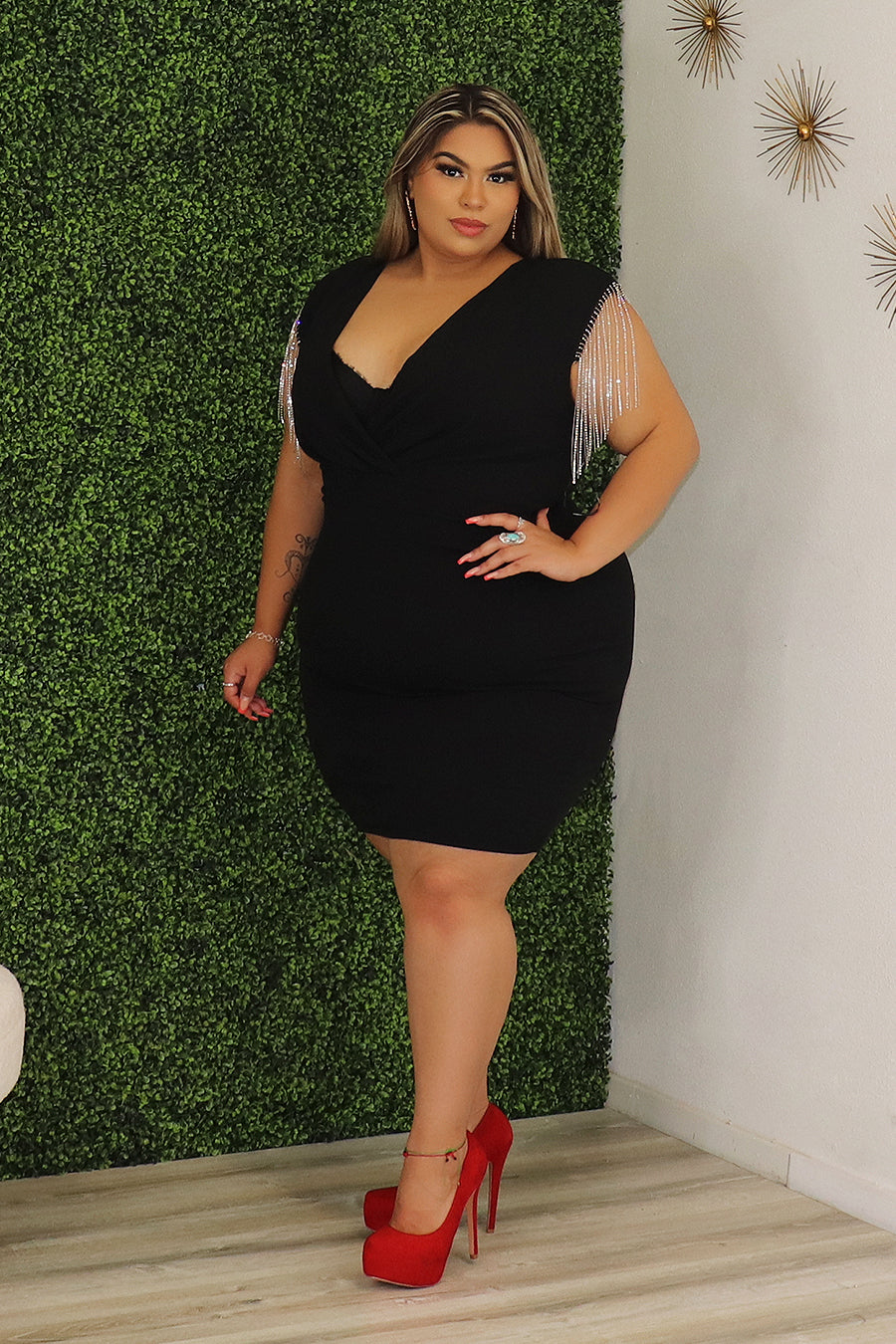 Lula Dress Divas Plus