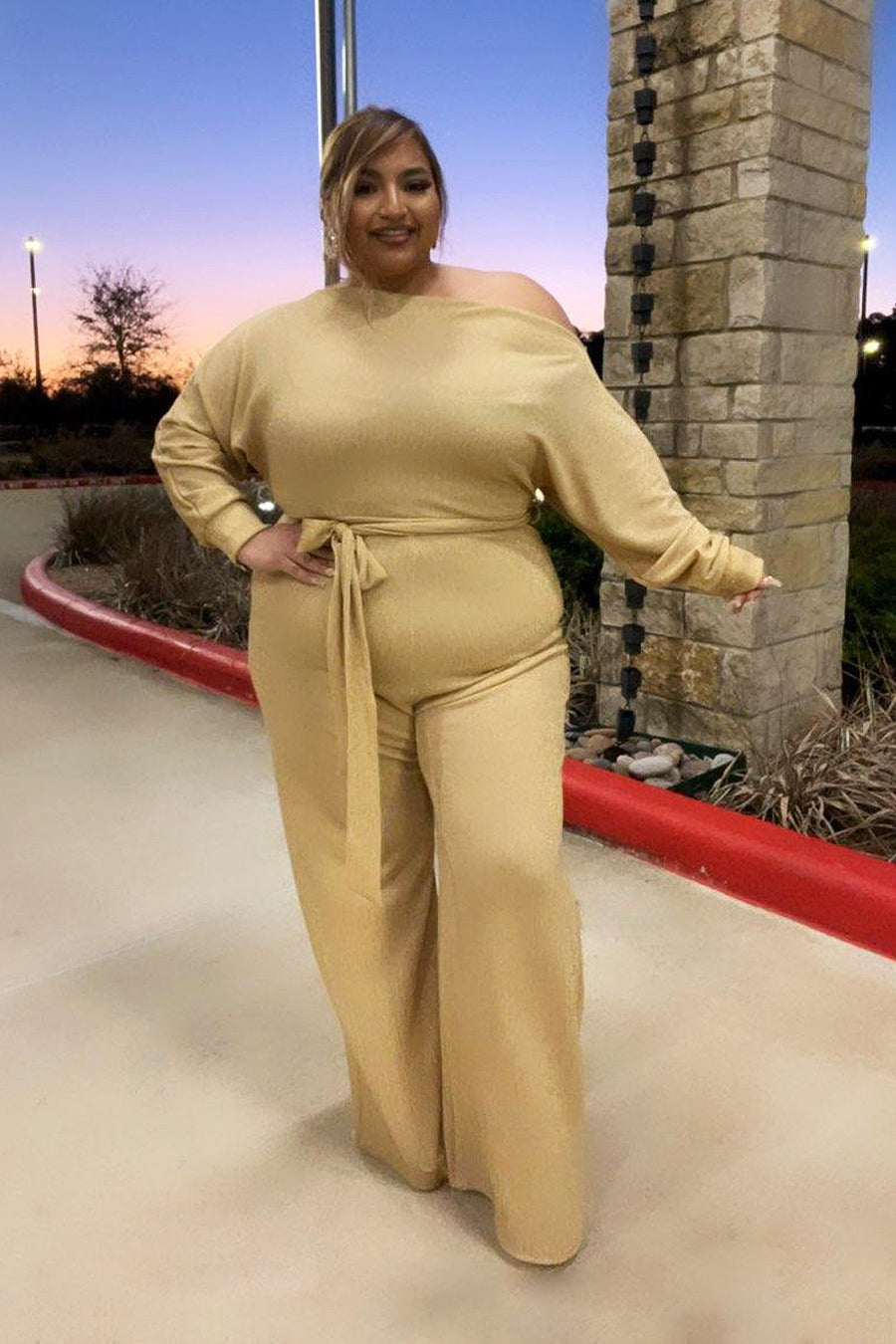 Doris's Glittery Jumpsuit Divas Plus